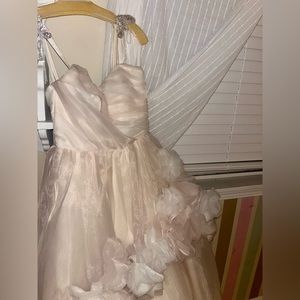 Custom Blush Ballgown